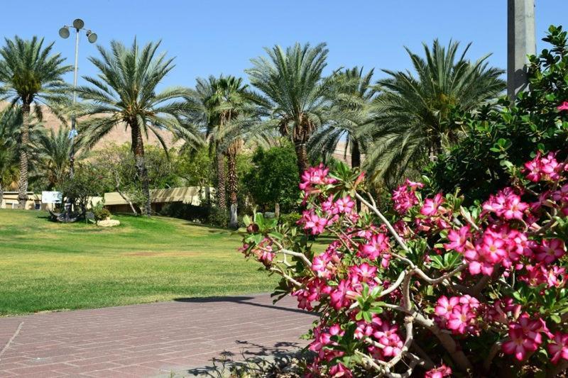 כפר נופש קלי"ה ים המלח Hotell Kalia Exteriör bild