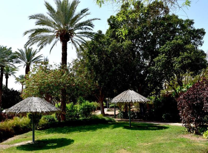 כפר נופש קלי"ה ים המלח Hotell Kalia Exteriör bild