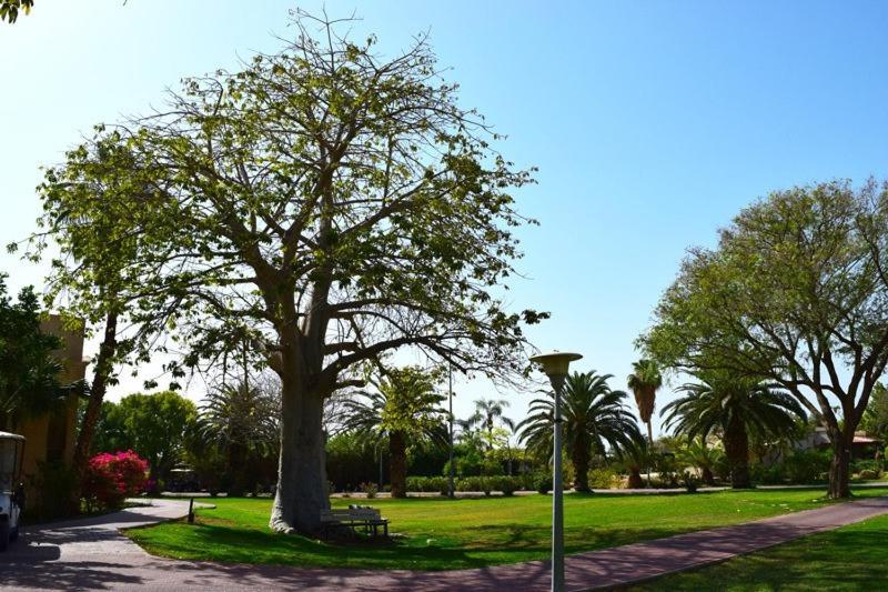 כפר נופש קלי"ה ים המלח Hotell Kalia Exteriör bild