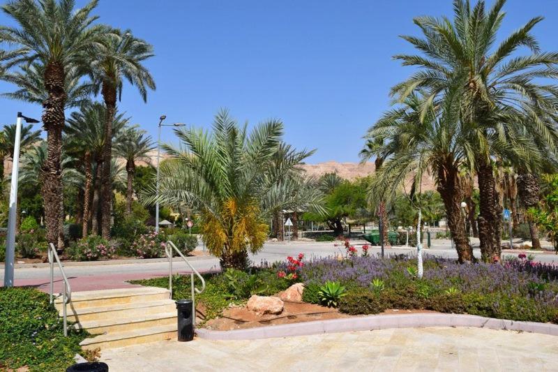 כפר נופש קלי"ה ים המלח Hotell Kalia Exteriör bild