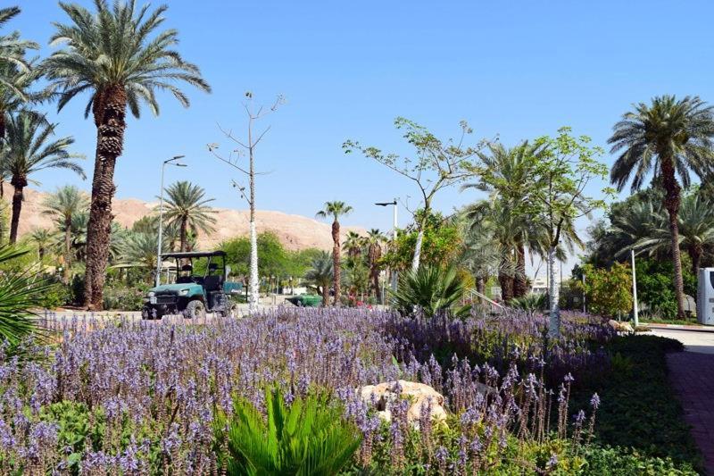 כפר נופש קלי"ה ים המלח Hotell Kalia Exteriör bild